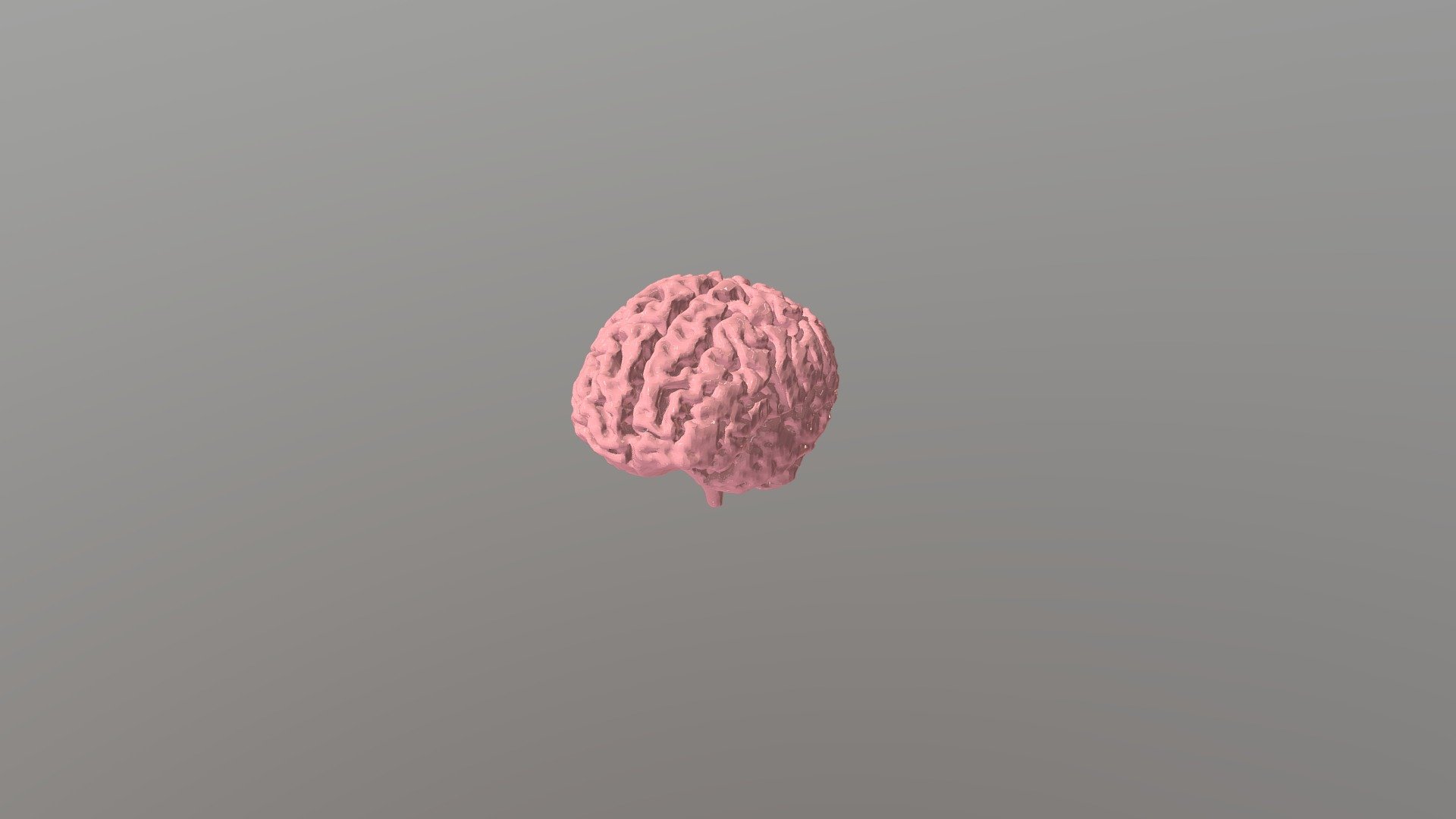 Finished Brain STL