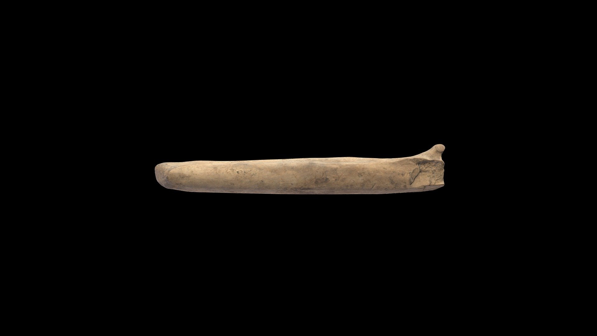 Medieval ice skate - 3D model by Cotswold Archaeology ...