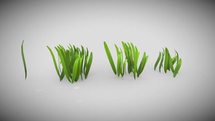 Hand Painted Seaweeds 3D Model