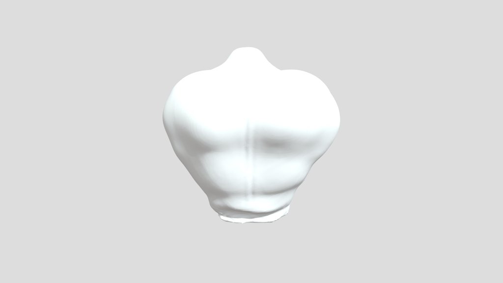Male Muscles Torso