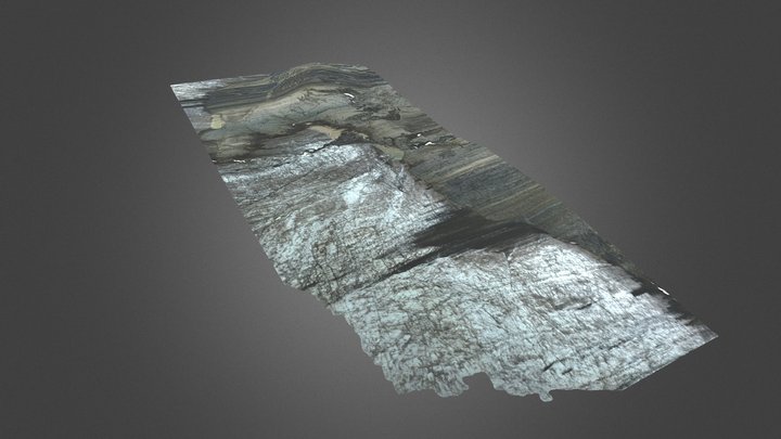 Aldegondabreen_glacierfront 3D Model