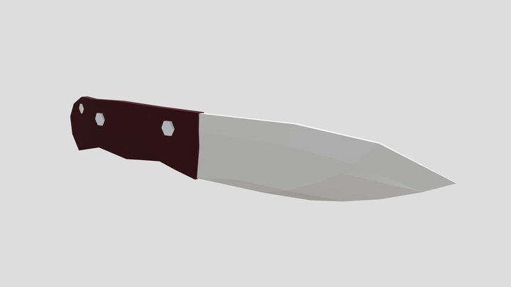 Mini hunting knife