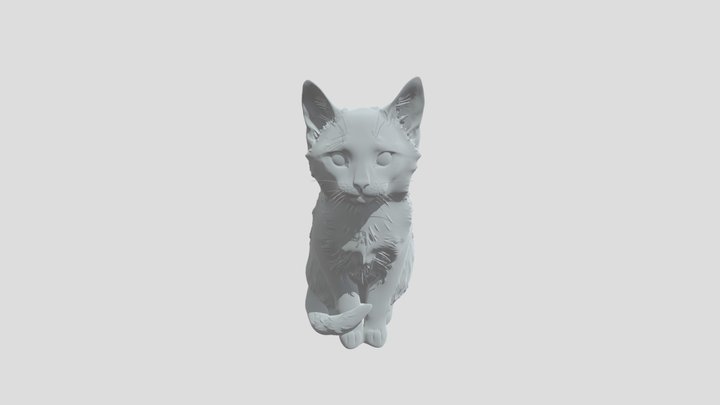 Kitty