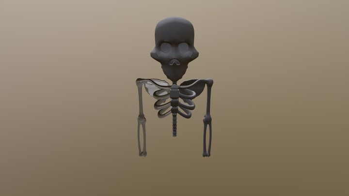 3D Skeleton 3D Model