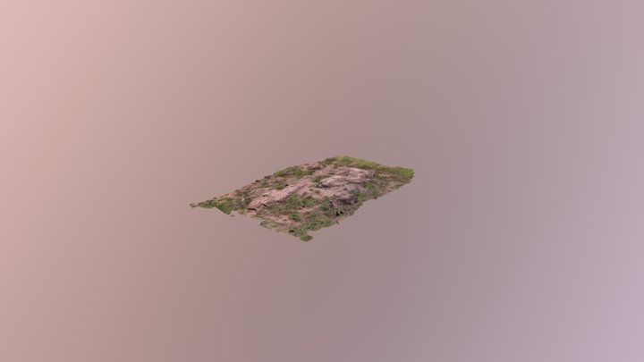 222 3D Model