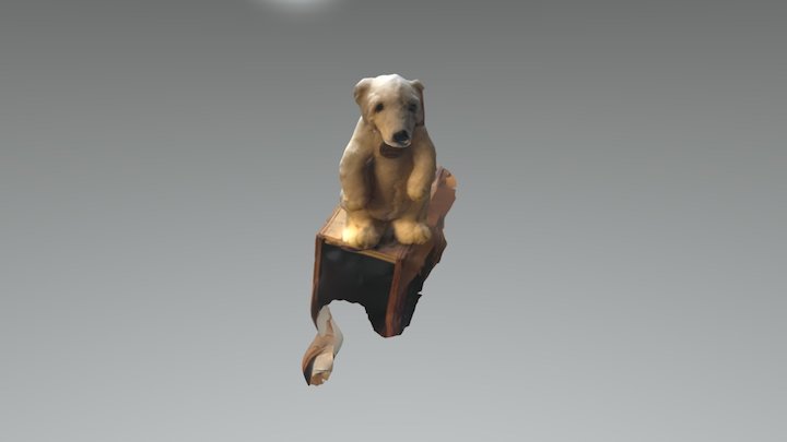 Polar Bear 3D Model
