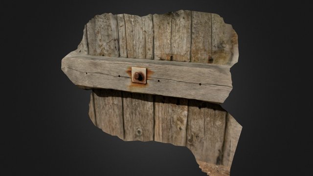 Beach Wood Rivet 3D Model