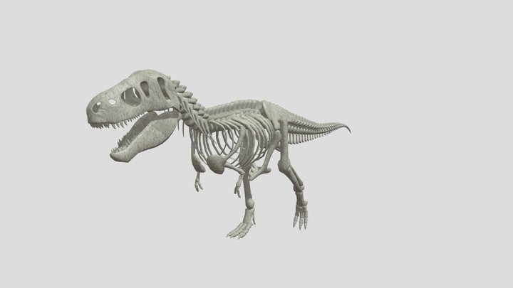Tyrannosaurus rex skeleton