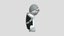 Loading 3D Model