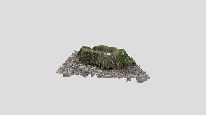 Stump_02 – Kostenloses 3D-Modell STL