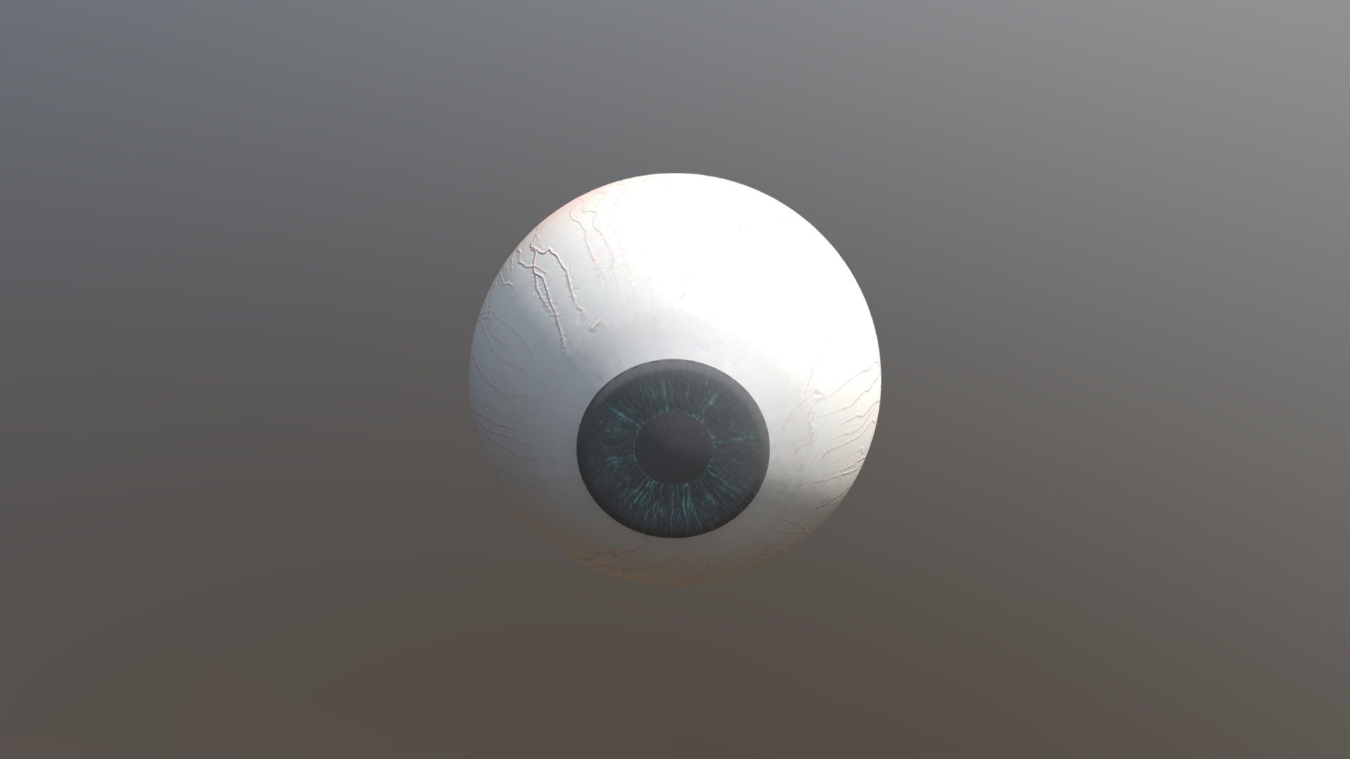 Human Eyeball