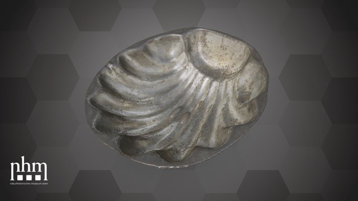 Small metal bowl (NHMW-ZOO-MO-0081100-ETH-093a) – Kostenloses 3D-Modell STL