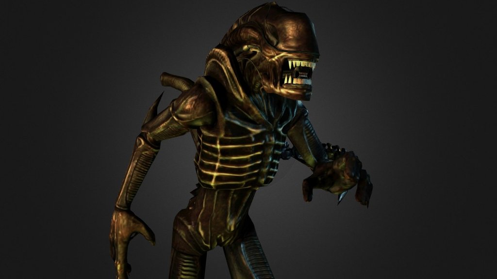 Xenomorph warrior