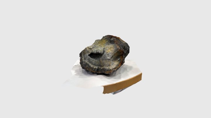 pillow lava 3D Model