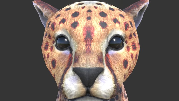 Cheetah Cub 3D Model