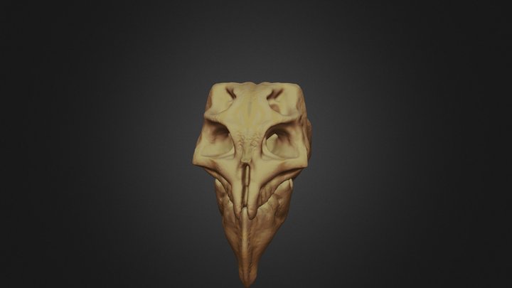 ALIENSKULL 3D Model