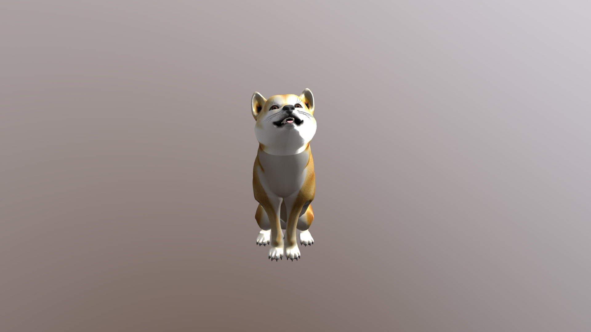 Animated Dog, Shiba Inu Download Free 3D model by quander (quander