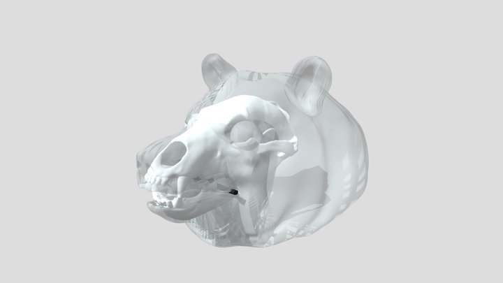 Ours de la Grande Rivoire 3D Model