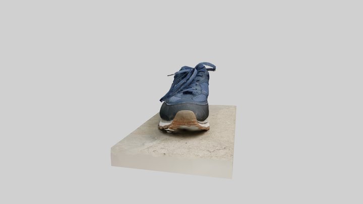 Shoe 1 3D Model