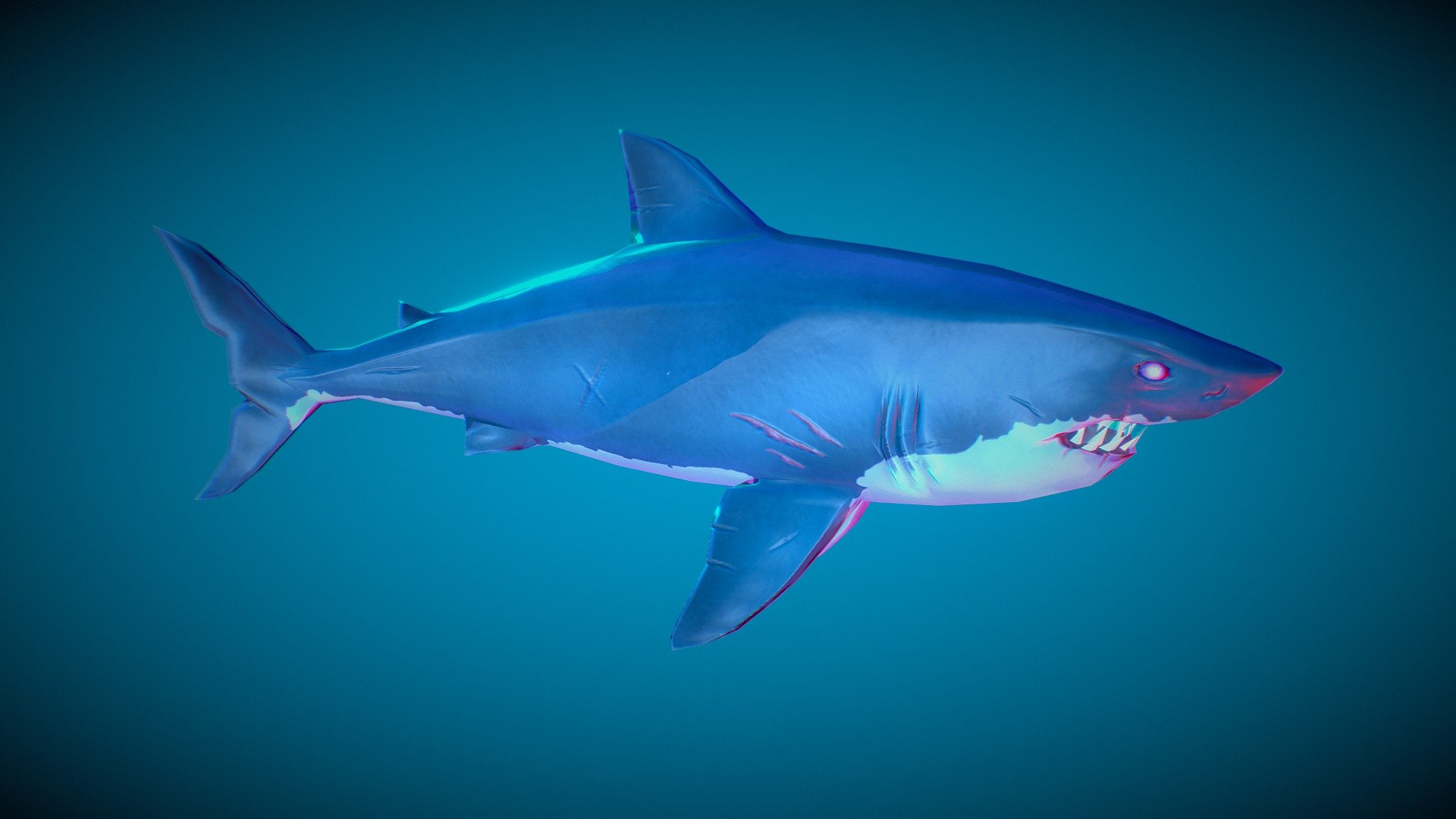 Hand Painted Stylized Shark - 3D model by sharkingaround [9ac907e ...