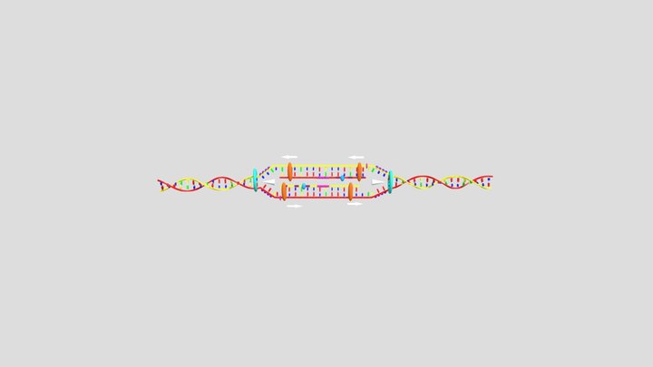 DNA UT 3D Model