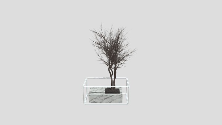 Sj Weeping Fig Flowerbox Set 01