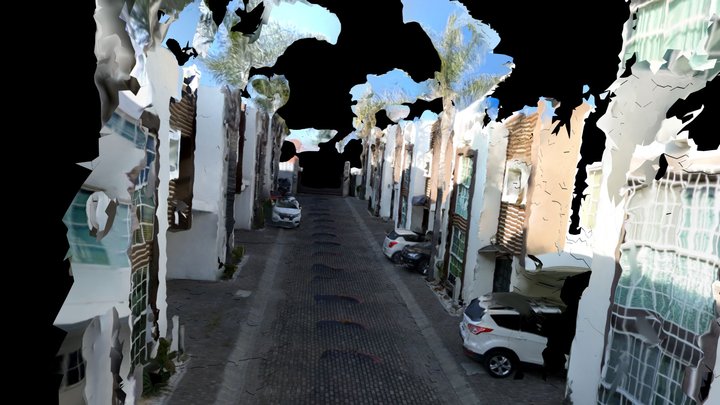 odm_Puebla 3D Model