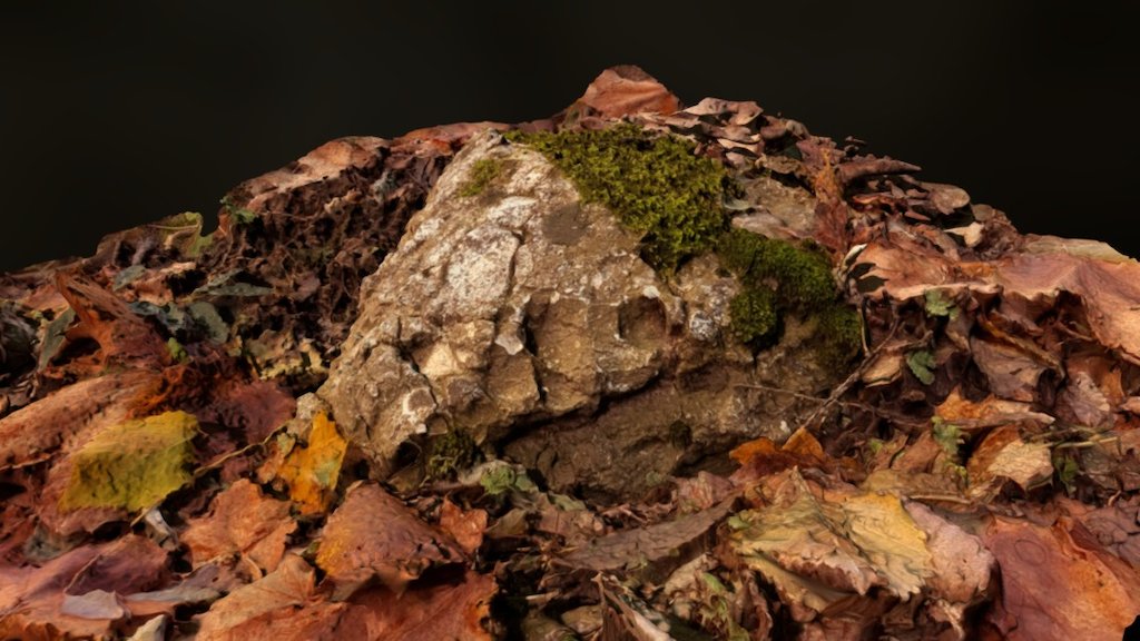 Small rock 1