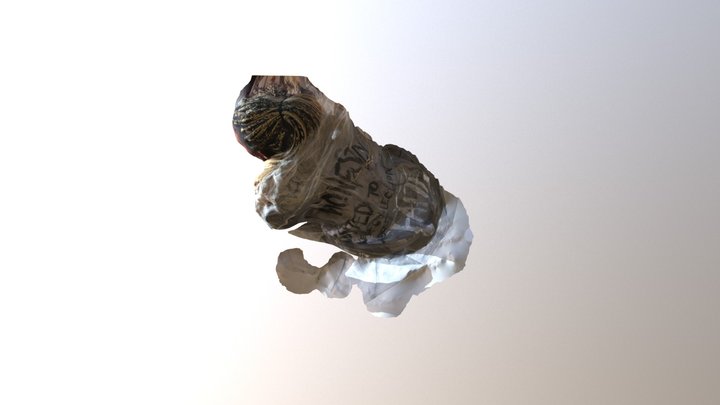 Look 6 model 3D Model