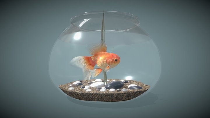 Goldfish_Ball-Aquarium 3D Model