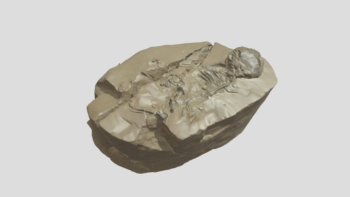 The Paleolithic burial of a child from Cosăuți 3D Model