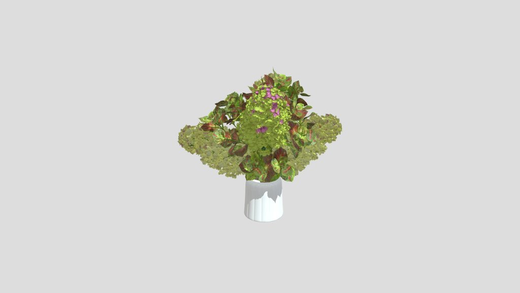 Hydrangea Bouquet