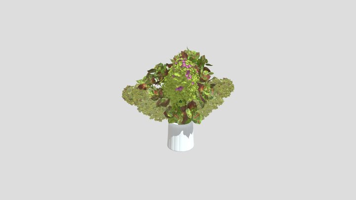 Hydrangea Bouquet