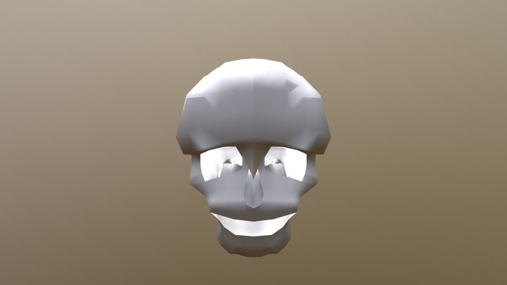 skull 3D Model