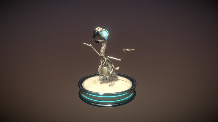 { Final } Parrot Skeleton 3D Model