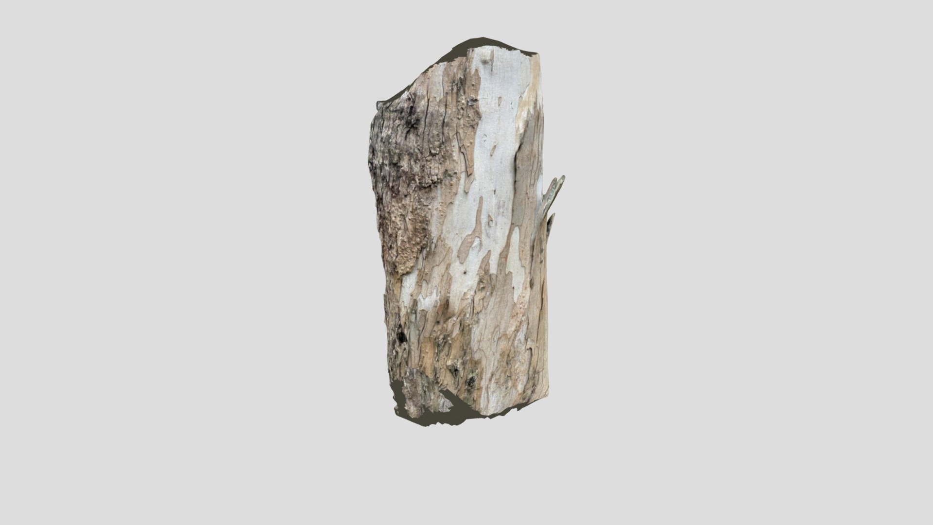 trunk - 3D model by fbb3181 [9ae22f9] - Sketchfab