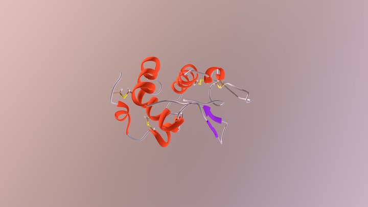 Lysozyme from egg 3D Model