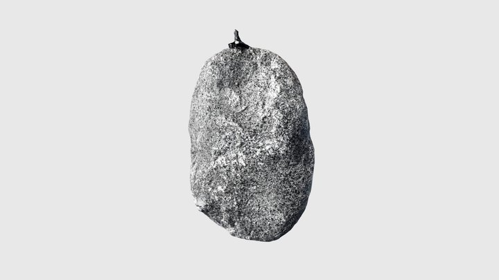 Rock 3D Model