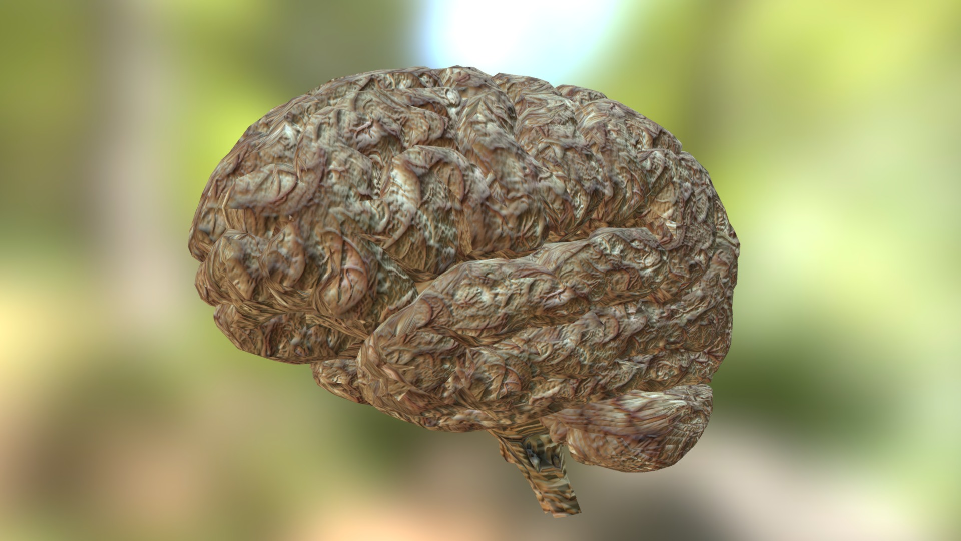 3D model Brain Interior Textured - This is a 3D model of the Brain Interior Textured. The 3D model is about a close up of a pinecone.