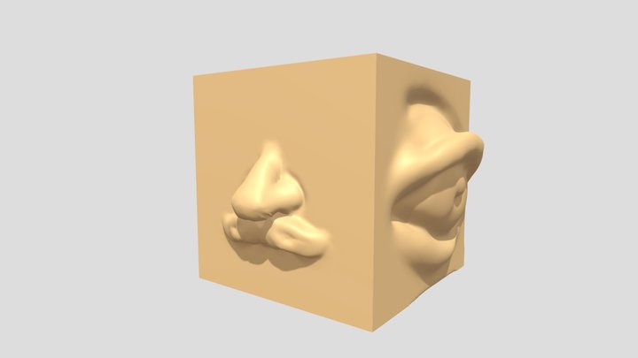 EricaCalihua_AnatomyCube-002 3D Model