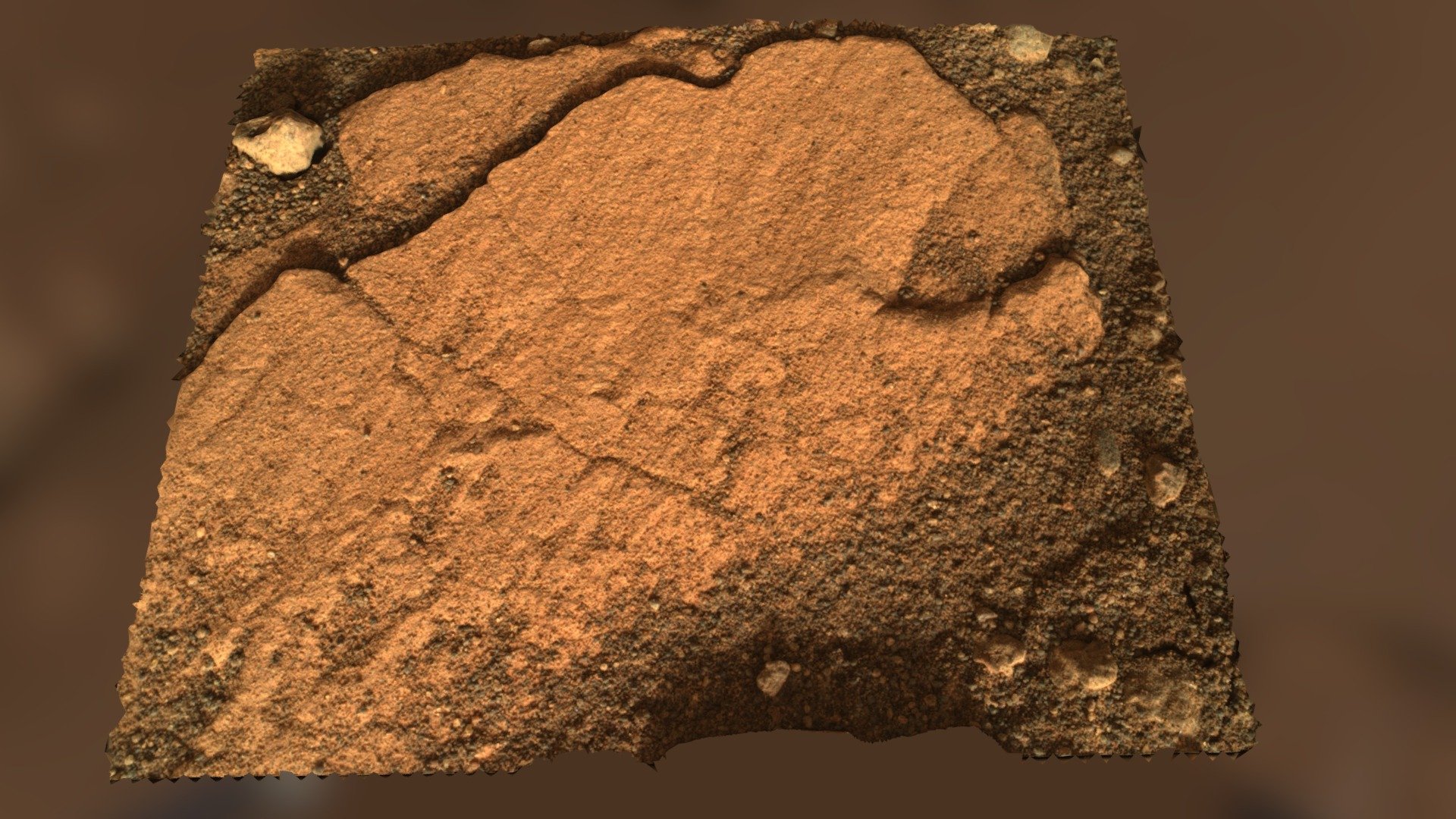 Perseverance Mesh of an Alien Fossil?