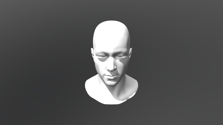 Head modeling for man 3D Model