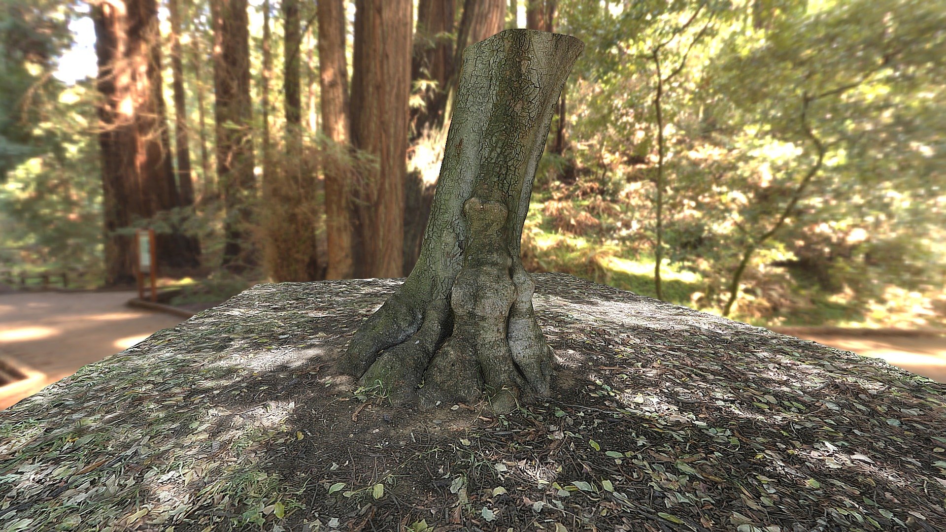 Arbol 2