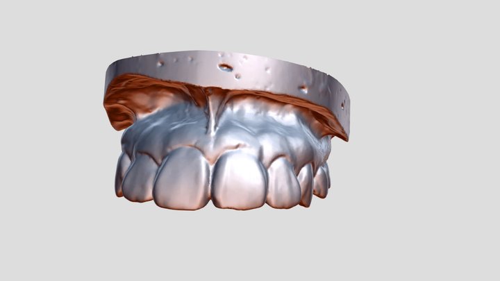 S2 3D Model
