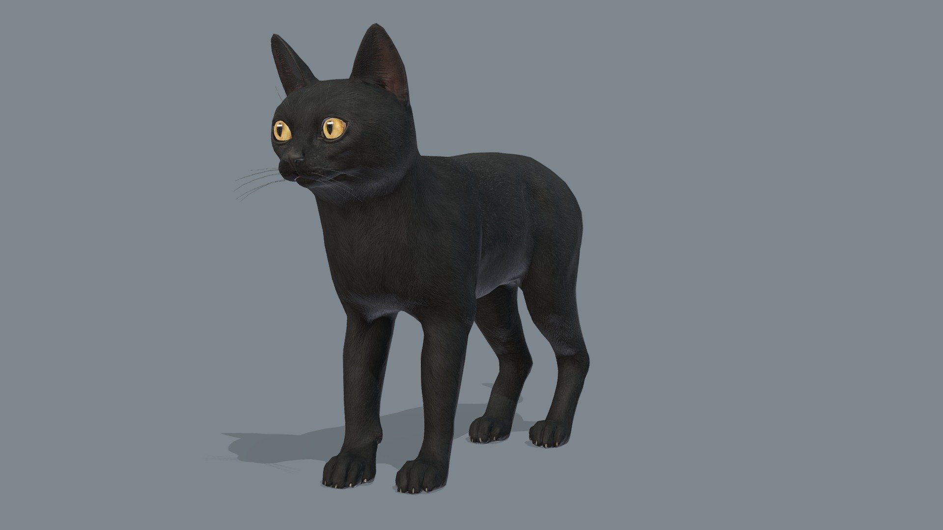 Cat - Bombay - Buy Royalty Free 3D model by RedDeer (@billl90) [9aece00 ...