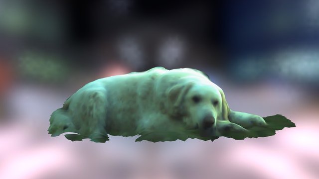 Pihenő kutya 3D Model