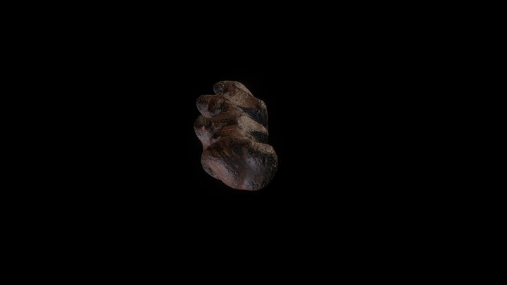 Buffalo Stone 3D Model