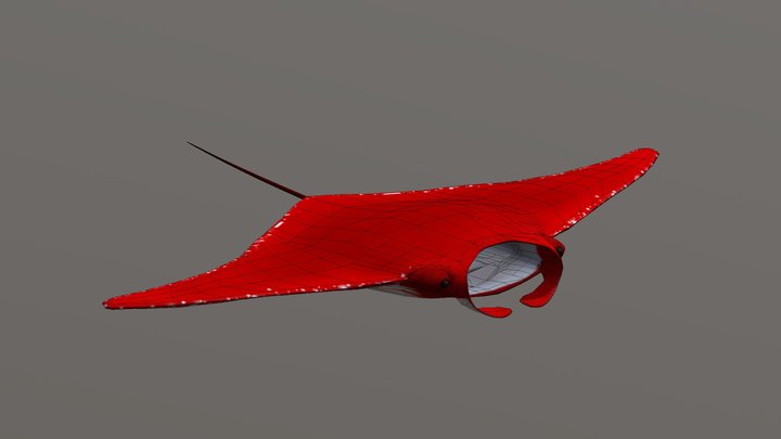 Manta Ray Model 3D Model