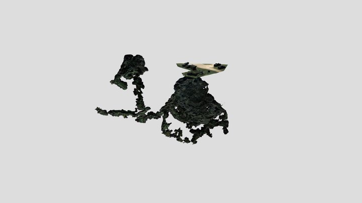 Pines Cave - Limestone Coast, Burrumgule (SA) 3D Model