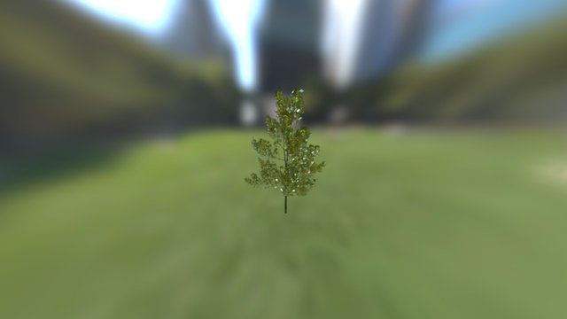 Tree 3D Model